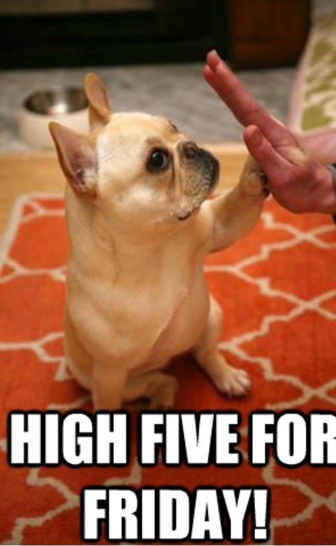 source:  http://frenchiesrule.tumblr.com/post/47216849201/happy-weekend